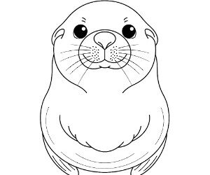 Adorable Seal Pals