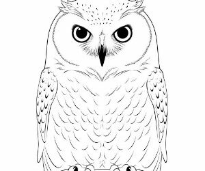 Snowy Owl Silent Majesty