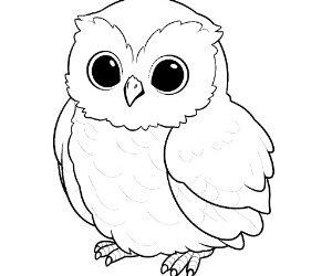 Snowy Owl Nocturnal Elegance