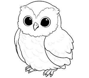 Snowy Owl Nocturnal Elegance