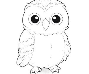Snowy Owl Silent Watcher