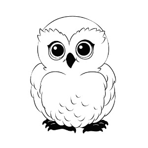 Snowy owl coloring pages – Coloring corner