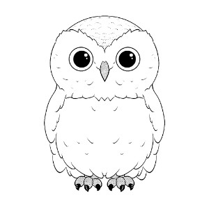 Snowy owl coloring pages – Coloring corner