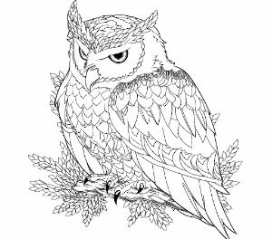 Snowy Owl Celestial Guardian