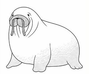 Walrus Whimsy Coloring Expedition