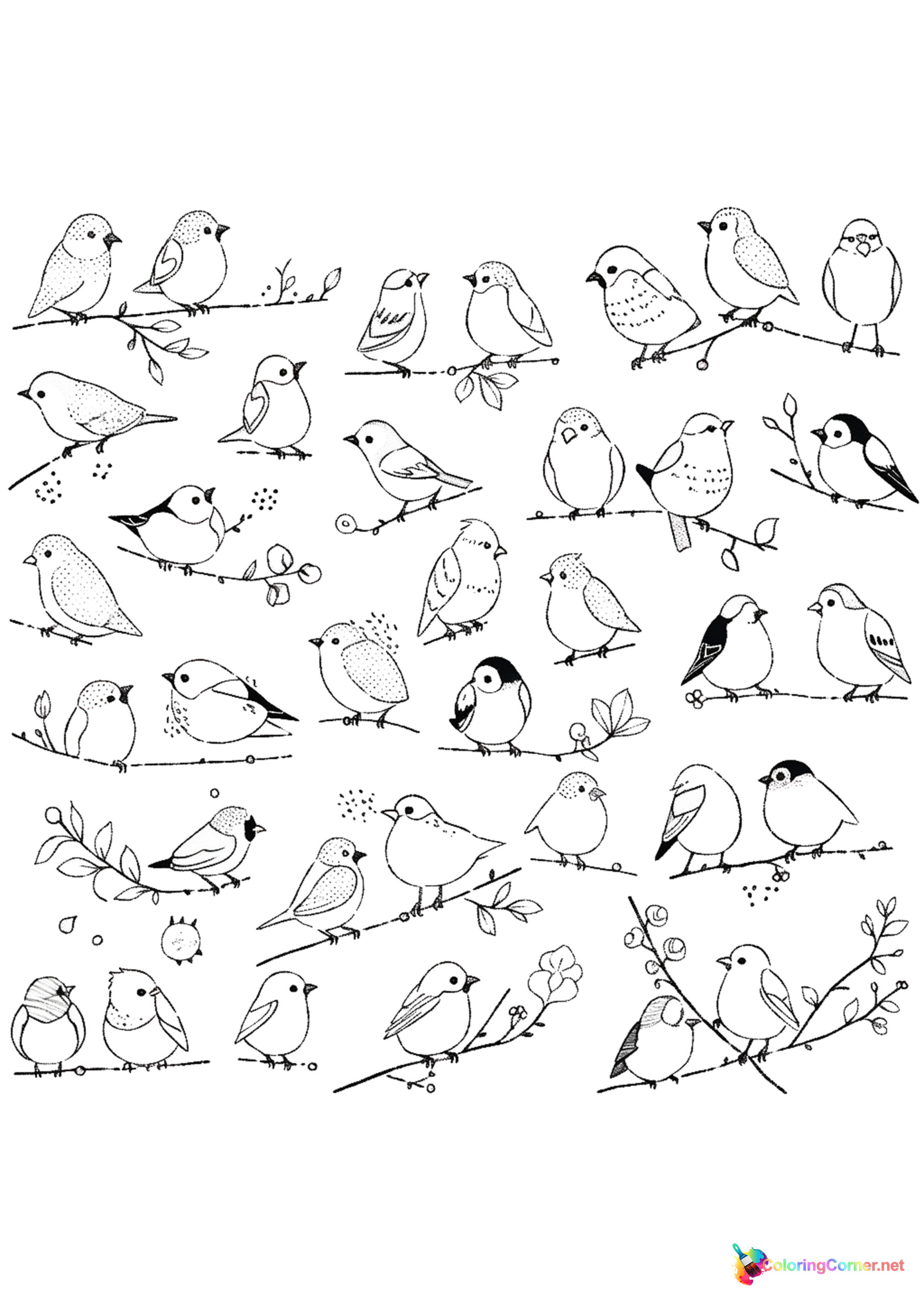 Bird coloring page