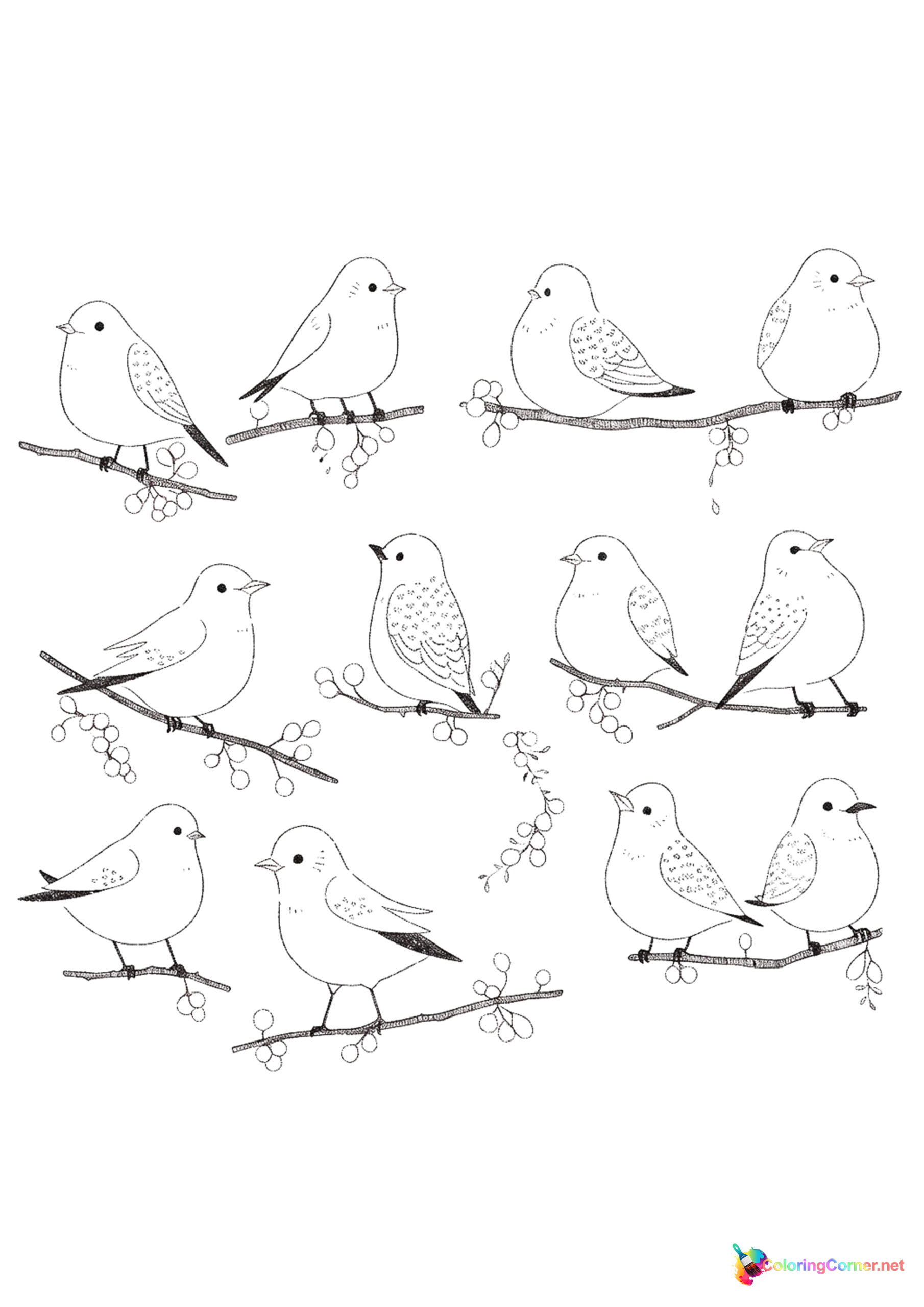 Bird coloring page