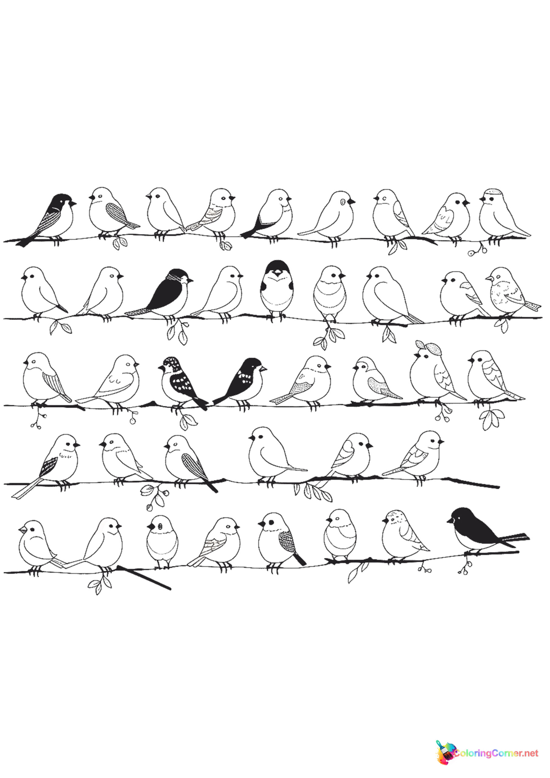 Bird coloring page