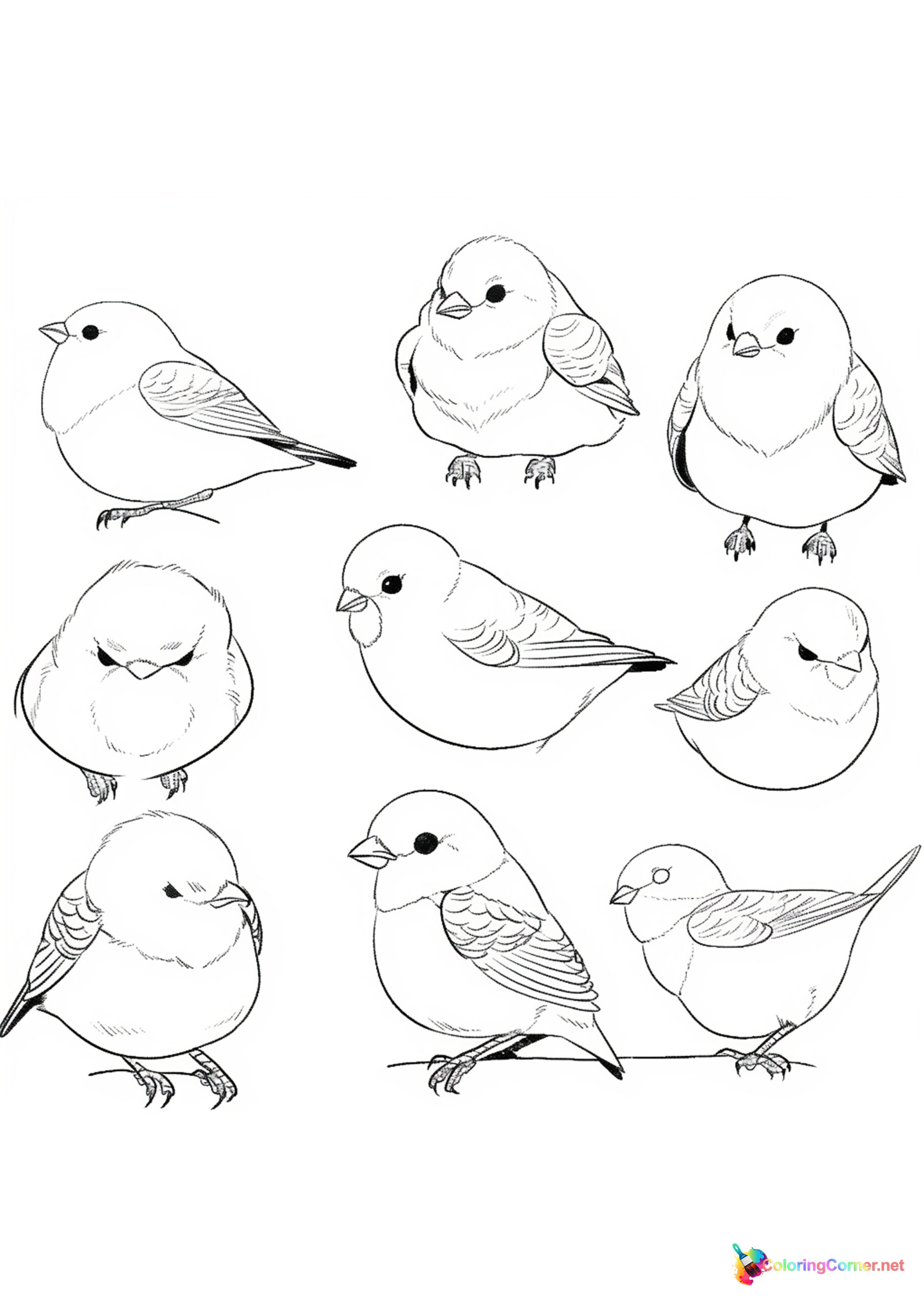 Bird coloring page