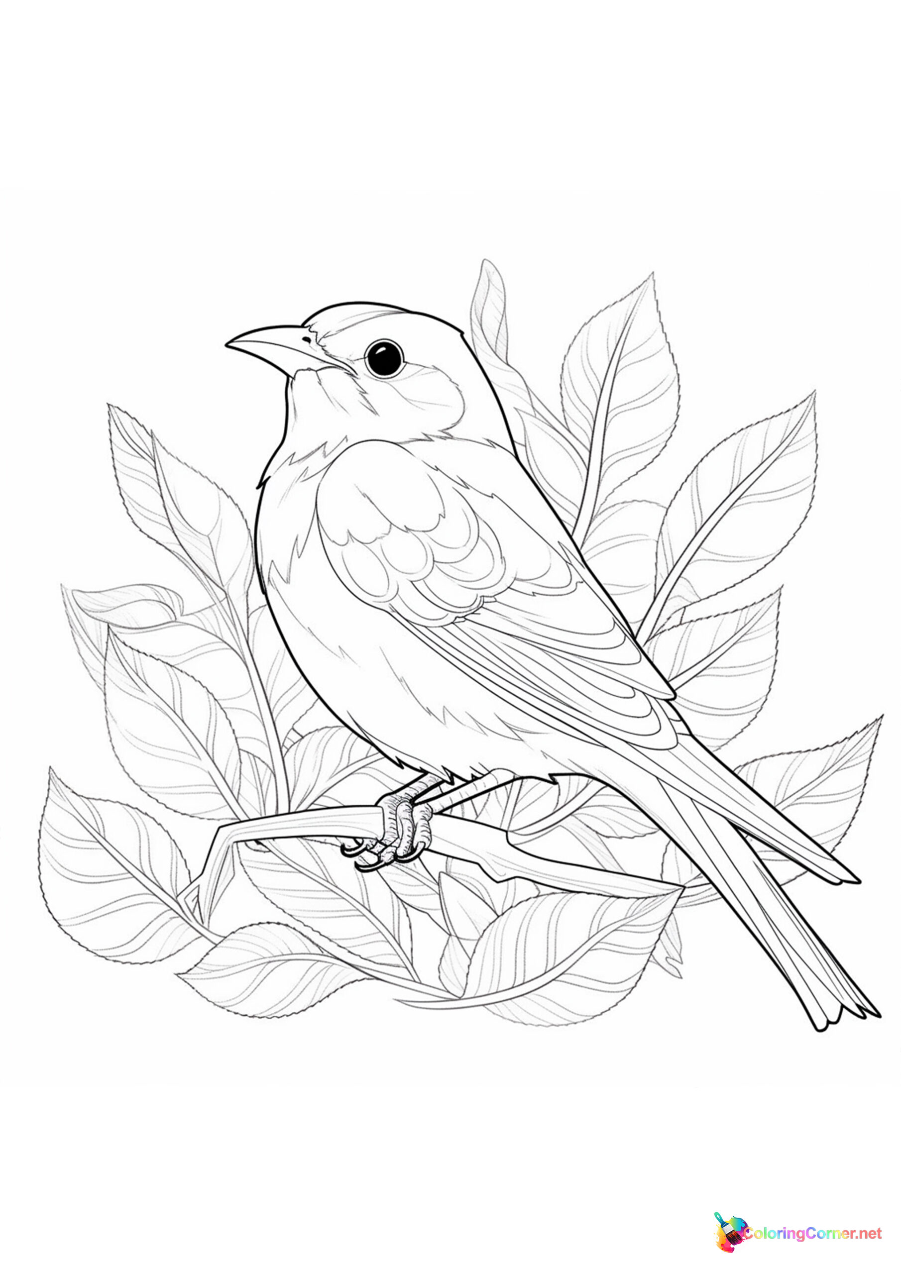 Bird coloring page