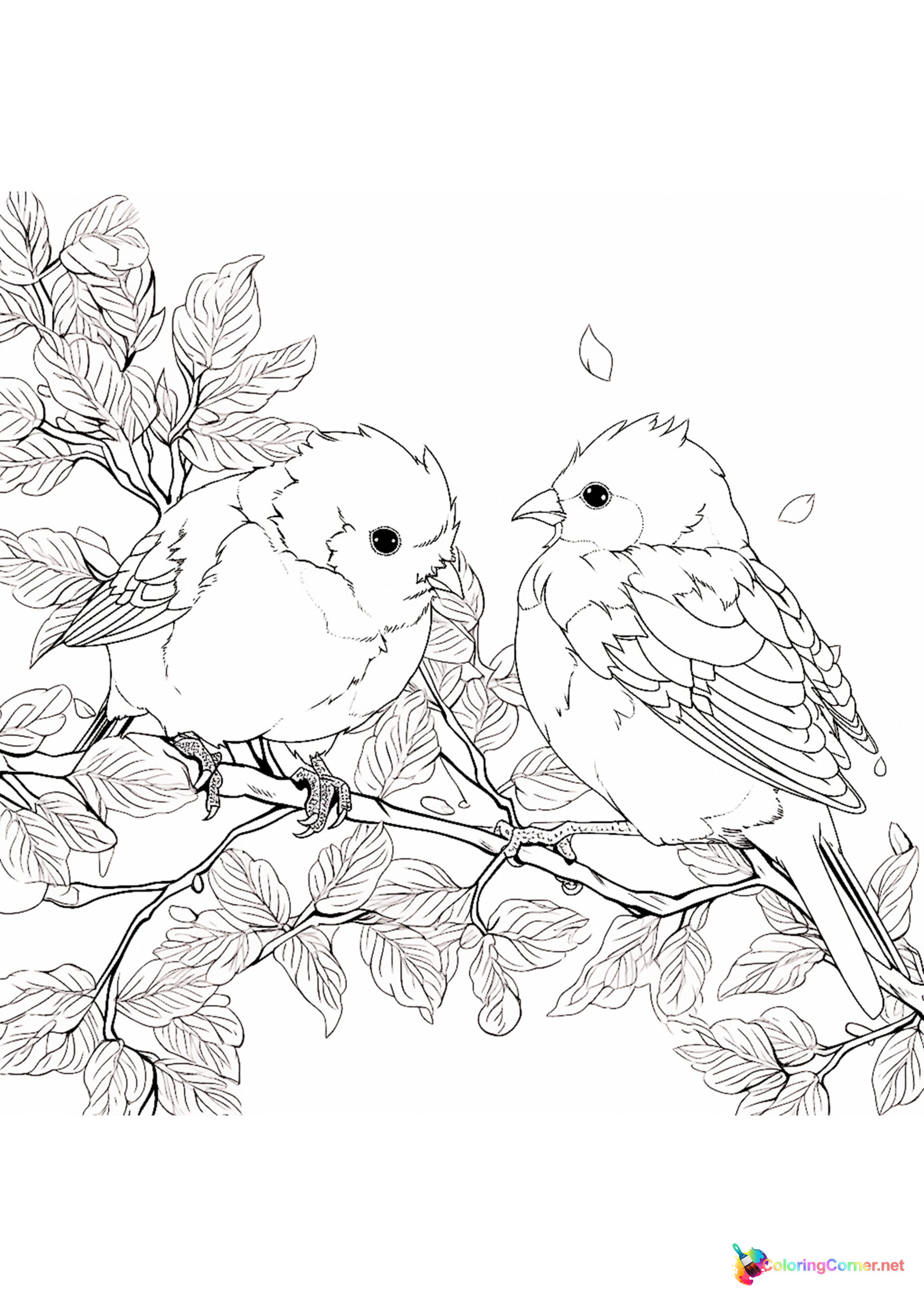 Bird coloring page