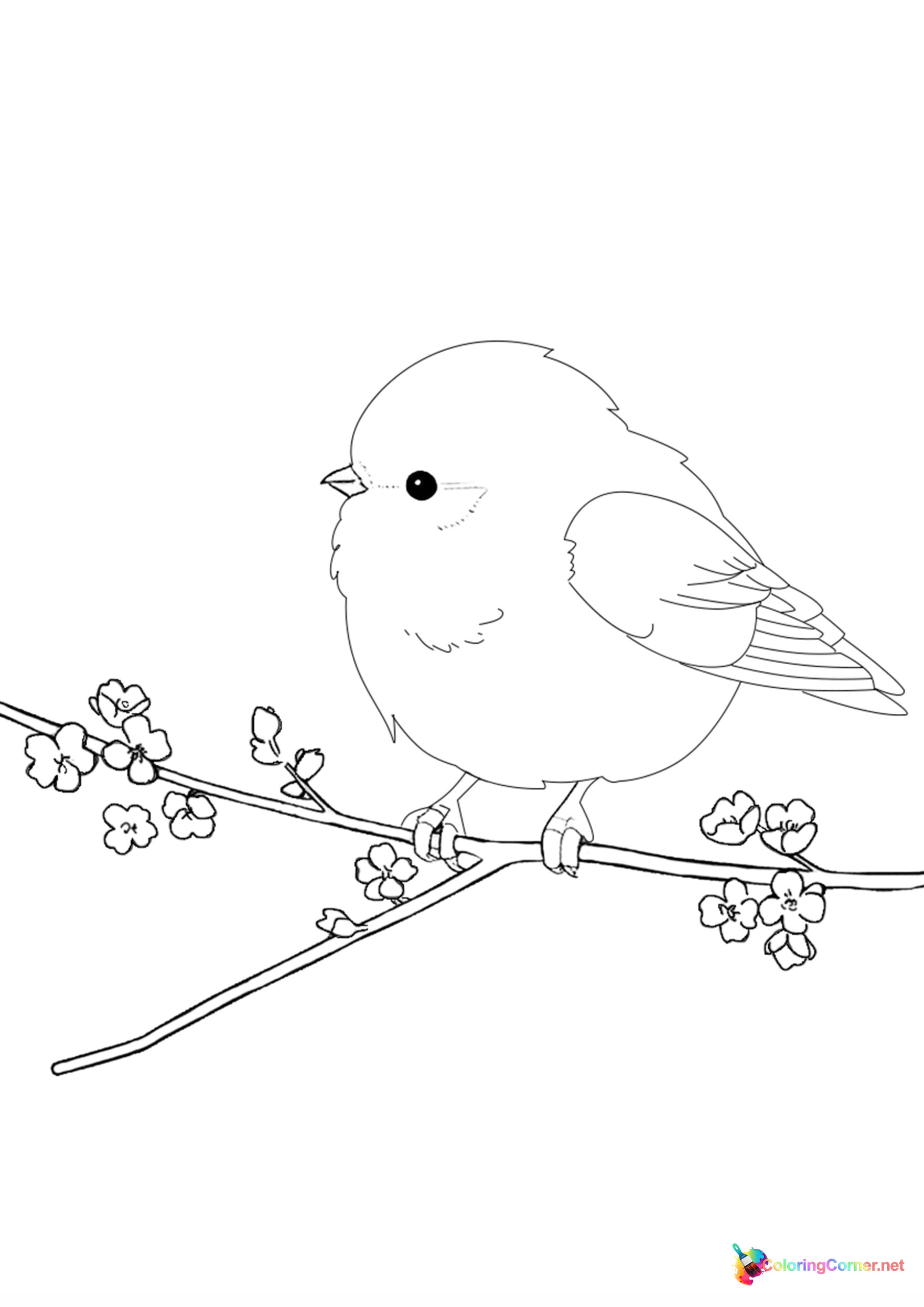 Bird coloring page