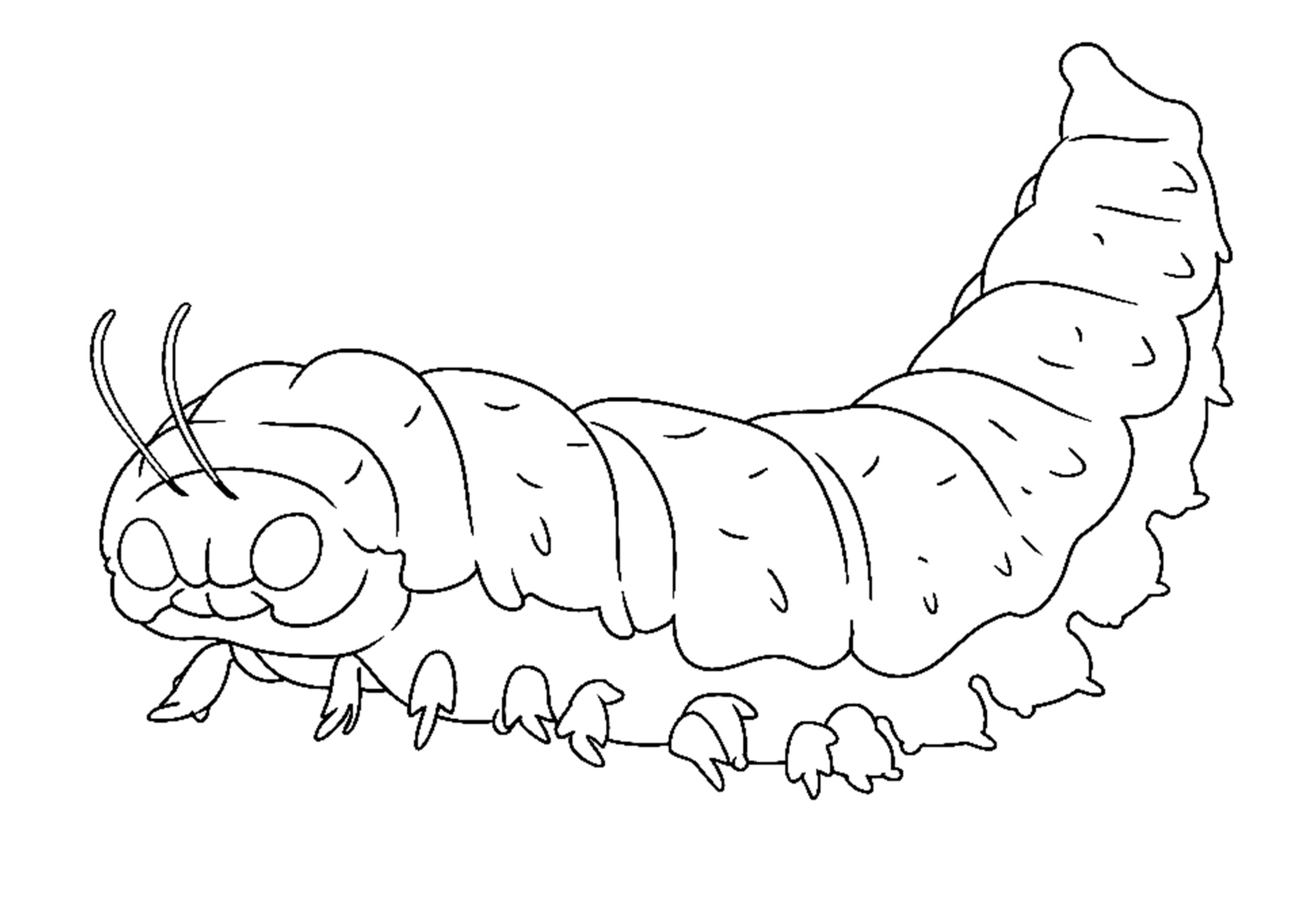 Caterpillar coloring page