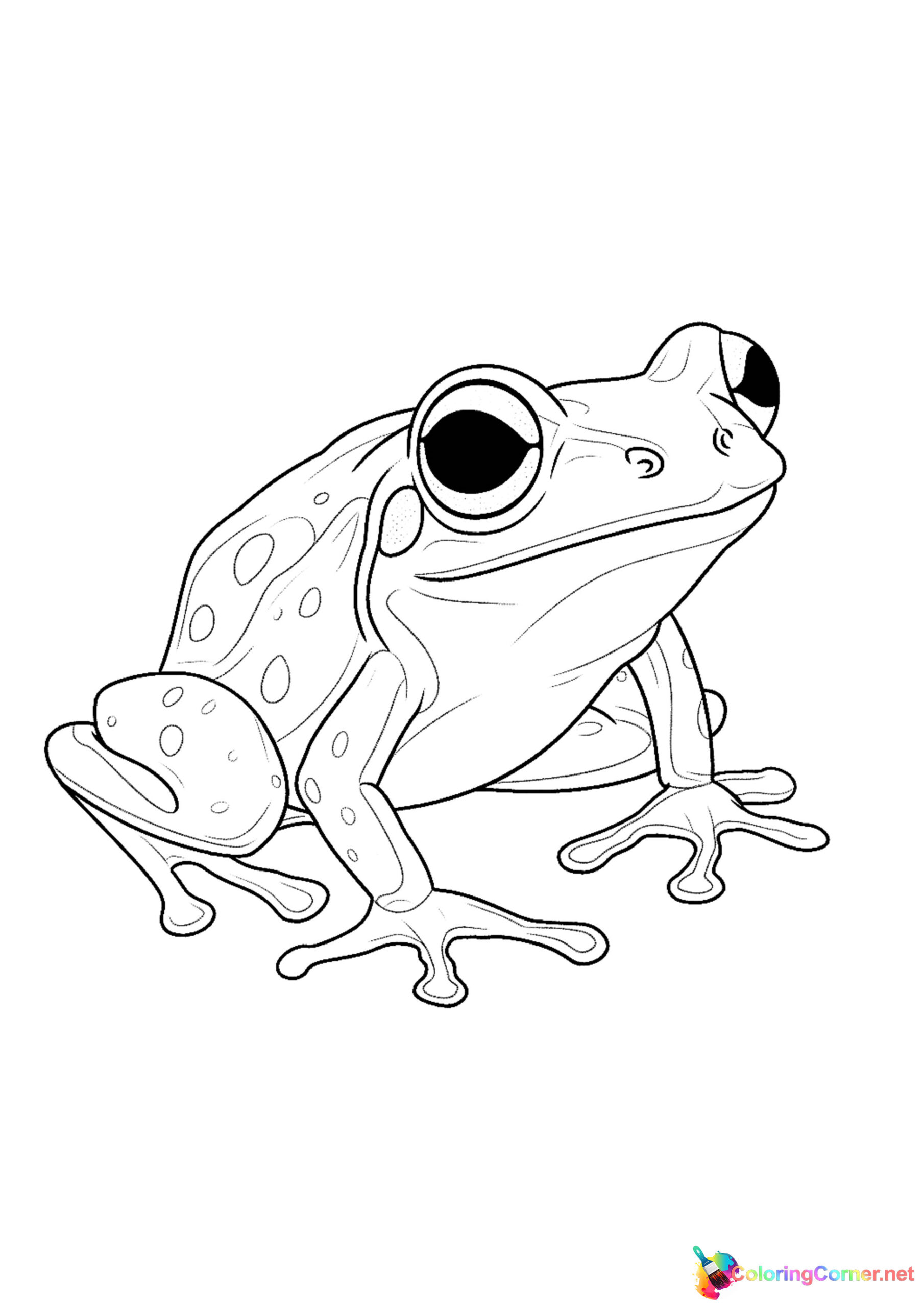 Frog coloring page