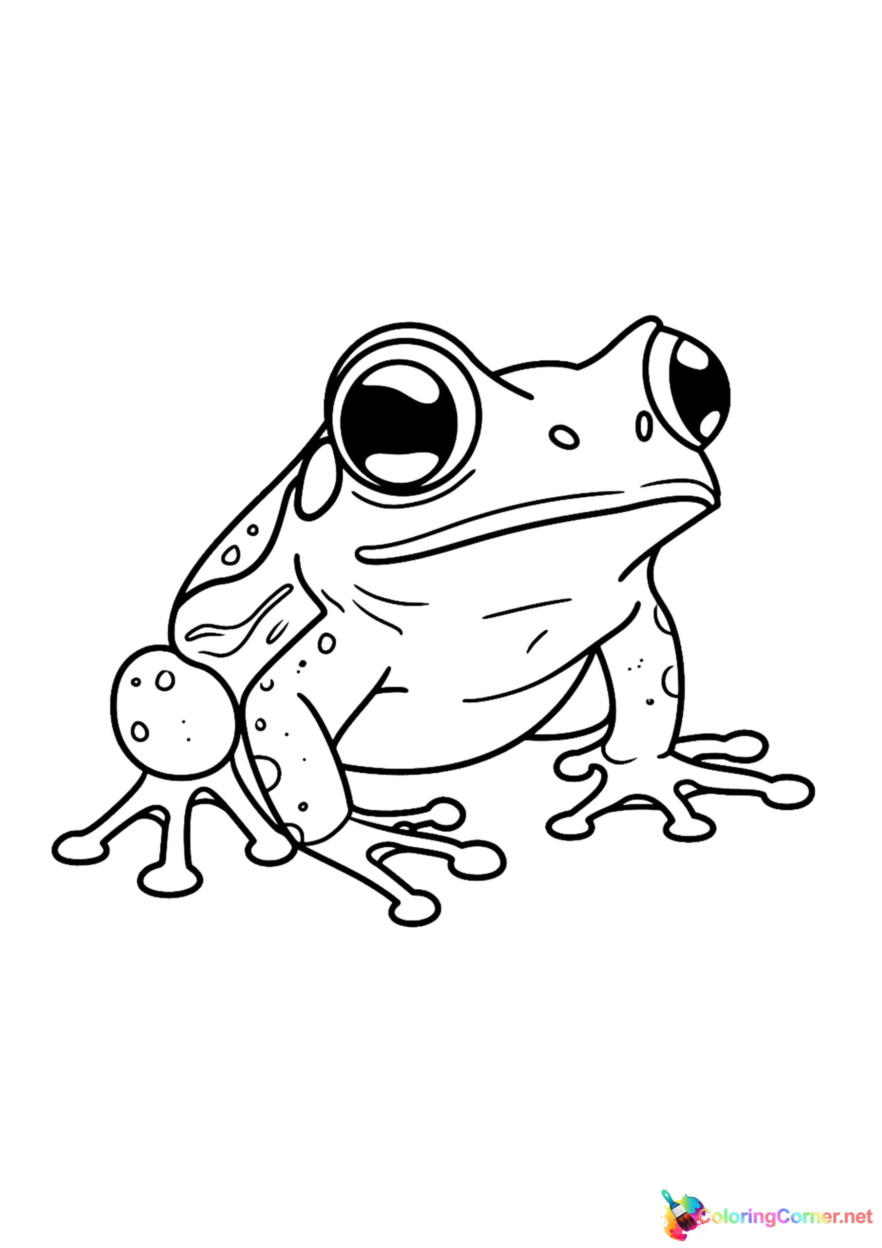 Frog coloring page