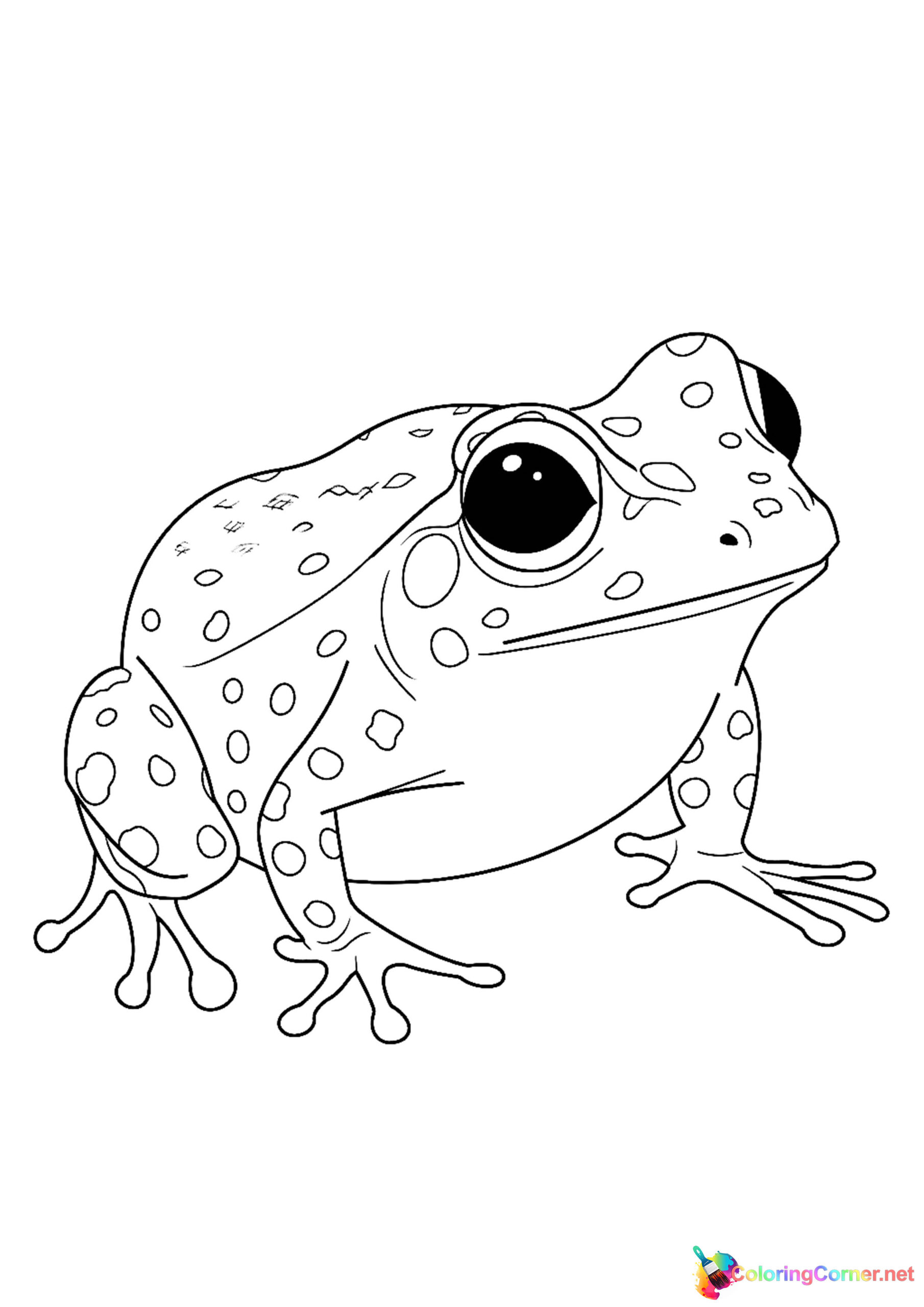 Frog coloring page