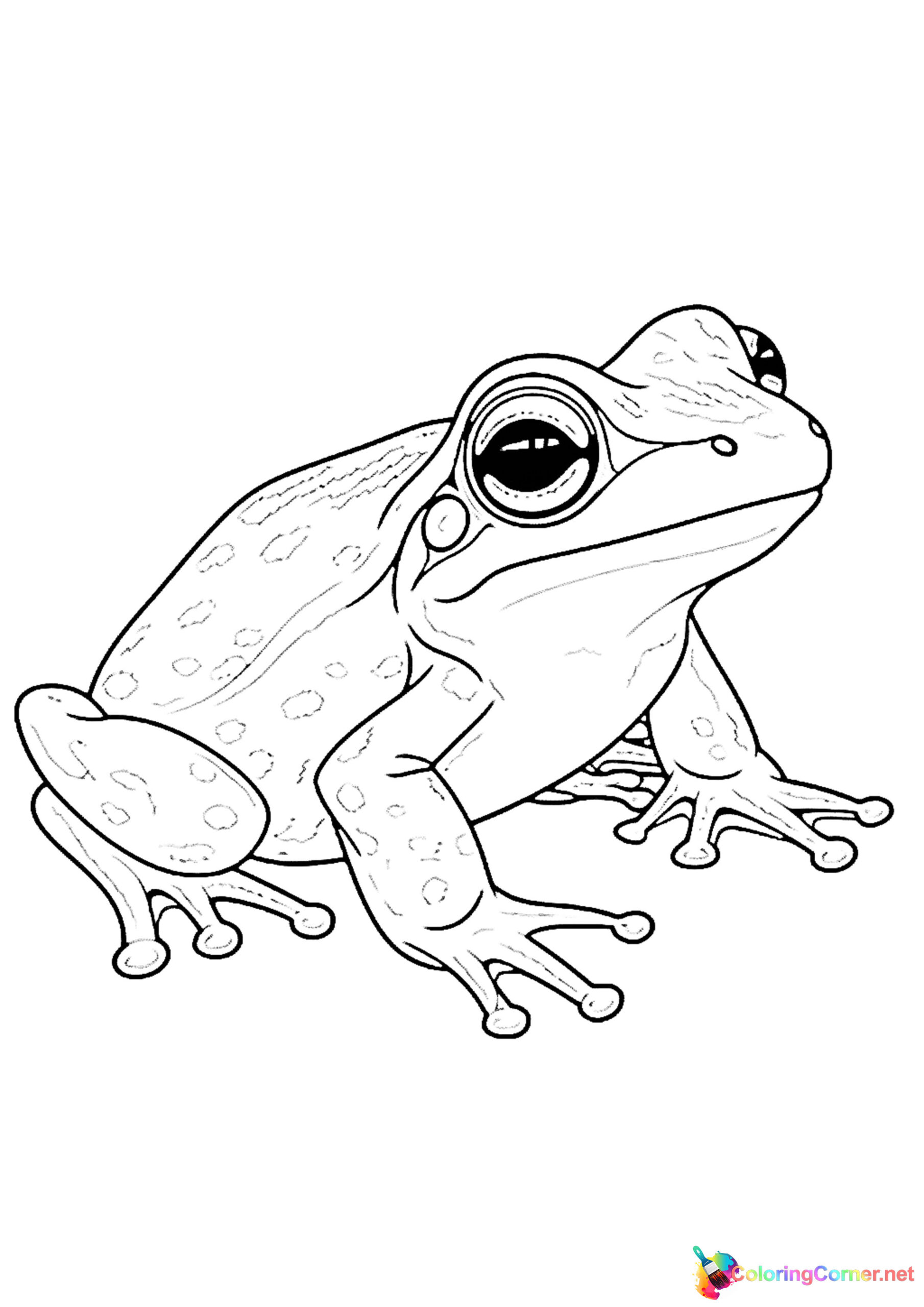 Frog coloring page