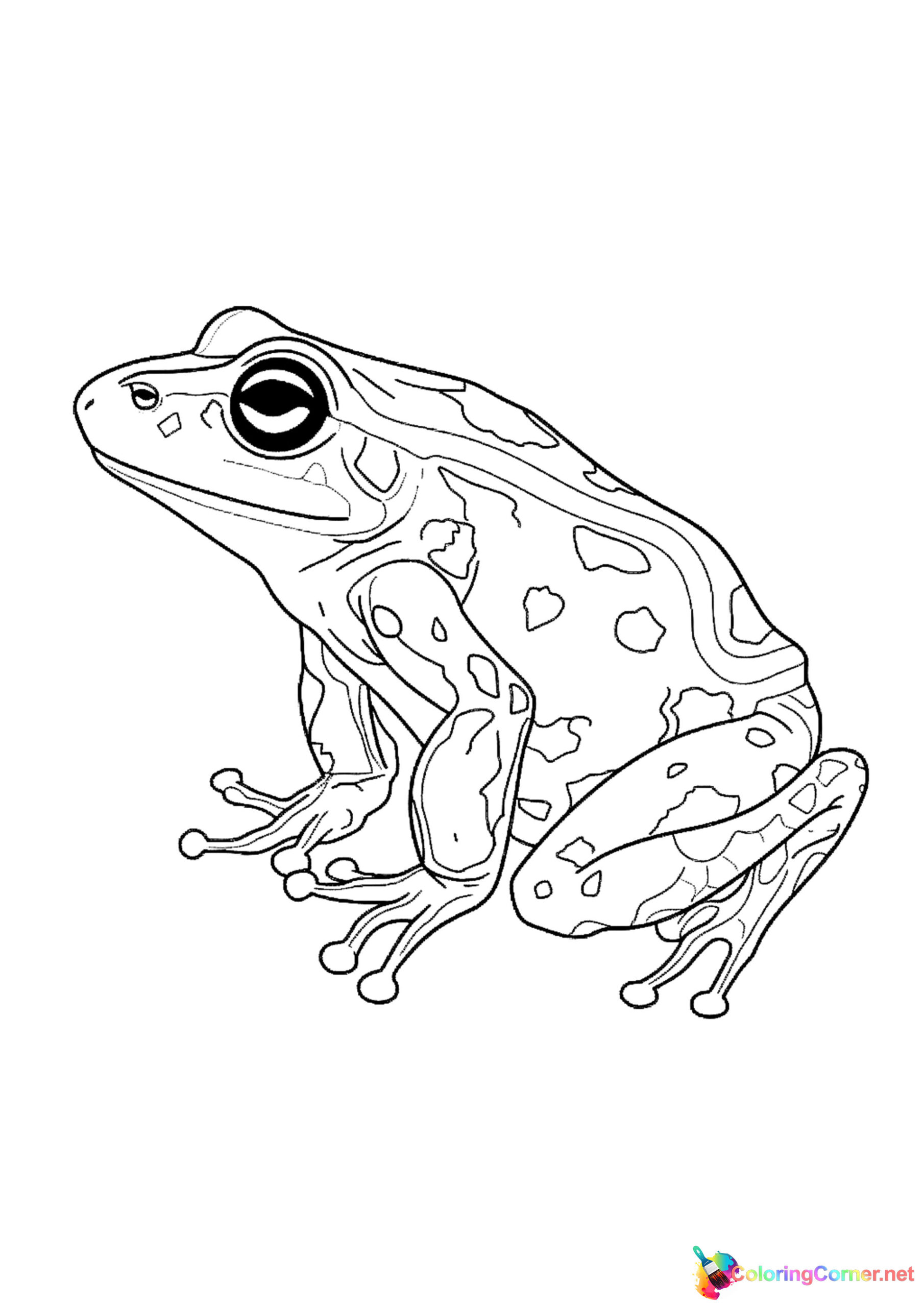 Frog coloring page