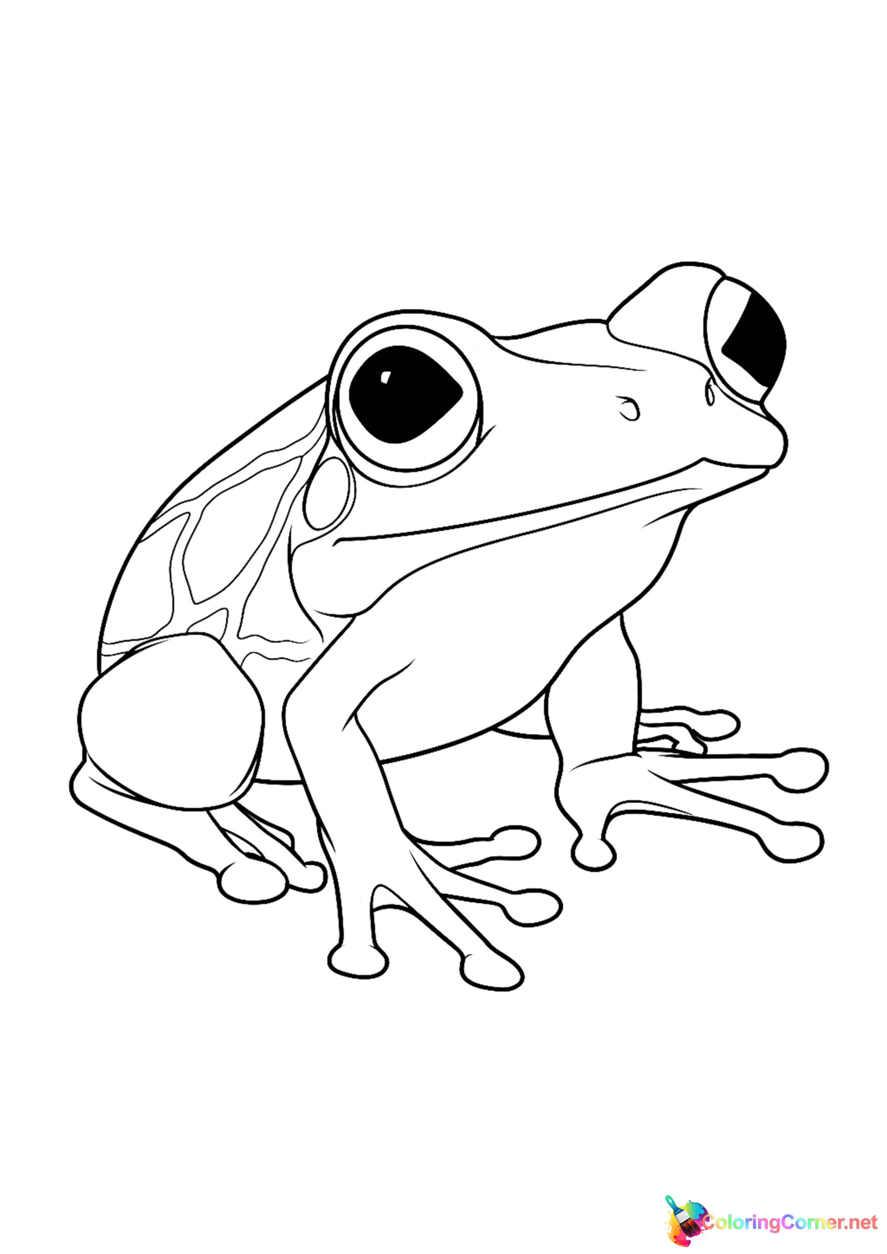 Frog coloring page