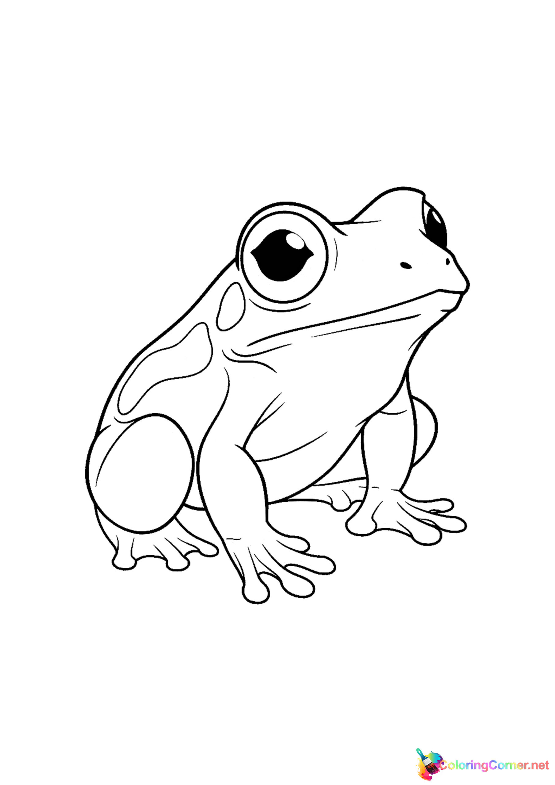 Frog coloring page