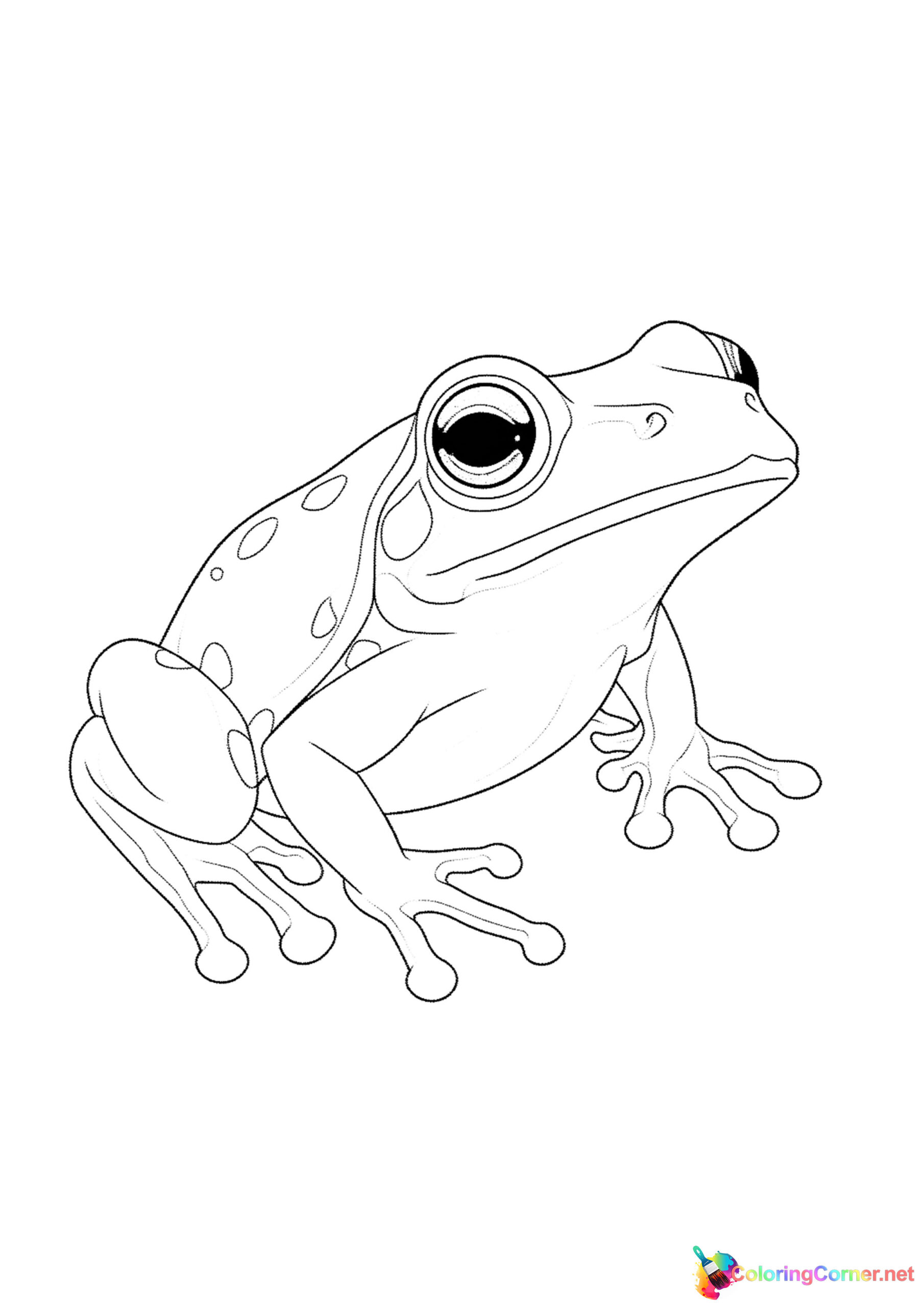 Frog coloring page